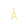 Histoire d'Or Pendentif Ionia Lettre Or Jaune