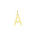 Pendentifs sur Grenoble : Histoire d'Or Pendentif Ionia Lettre Or Jaune