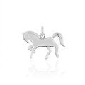 Pendentifs sur Grenoble : Histoire d'Or Pendentif Matahina Argent Blanc