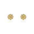 Histoire d'Or Boucles D'oreilles Puces Dyonis Acier Jaune