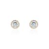 Histoire d'Or Boucles D'oreilles Puces Plaqu&eacute; Or Radbod Pierres Artificielles Oxydes