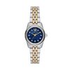 Montre Michael Kors Petite Lexington Bleu