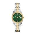 Montres sur Grenoble : Montre Fossil Scarlette Mini Vert