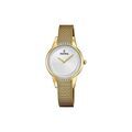 Montres sur Grenoble : Montre Festina Mademoiselle Argent&eacute;