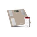 TERRAILLON P&egrave;se-personne Imp&eacute;dancem&egrave;tre - COACHCONNECT15125