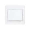 Electricit&eacute; sur Annecy : Interrupteur &agrave; encastrer diam2 bouton poussoir diam2 blanc blanc 1 pi&egrave;ce(s) &agrave; encastrer monobloc poussoir 1 - debflex