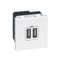 Electricit&eacute; sur Annecy : Prise &agrave; encastrer mosaic double prise u.s.b mosaic blanc blanc 1 pi&egrave;ce(s) &agrave; encastrer monobloc 1 usb standard - legrand snc