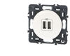 Prise chargeur USB double blanc Legrand C&eacute;liane?