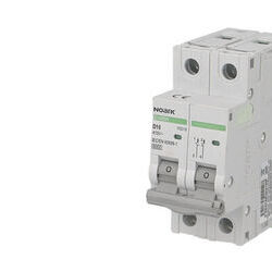Disjoncteur bipolaire modulaire 40A courbe D Noark Ex9BN