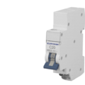 Disjoncteurs, interrupteurs sur Seyssins : Disjoncteur phase neutre automatique 2A courbe C 4.5kA Eur'Ohm RX Protect