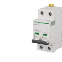 SCHNEIDER ELECTRIC Disjoncteur modulaire bipolaire Schneider Acti9 iC60N 6A courbe C