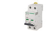 SCHNEIDER ELECTRIC Disjoncteur modulaire bipolaire Schneider Acti9 iC60N 10A courbe D