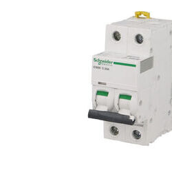 SCHNEIDER ELECTRIC Disjoncteur modulaire bipolaire Schneider Acti9 iC60N 40A courbe D