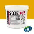 Mur sur Mont&eacute;limar : SOIE #17 - Peinture finition acrylique velours RAL 1004 - Jaune Or 5L