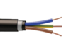 bis-electric Cable RVFV arm&eacute; 3G1.5mm� &agrave; la coupe (minimum 10m)
