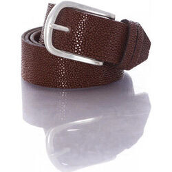 Ceinture Vanzetti V4508A6566 670