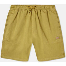 Short Dickies Pelican rapids