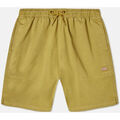 Shorts/Bermuda sur Grenoble : Short Dickies Pelican rapids
