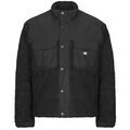 Veste Dickies PINESDALE JACKET