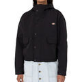 Vestes sur Grenoble : Veste Dickies Glacier