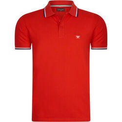 Polo Cappuccino Italia Polo Applique Pique