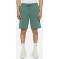 Short Dickies Mapleton short