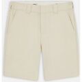 Shorts/Bermuda sur Grenoble : Short Dickies COBDEN DK0A4XES-F90 WHITECAP GRAY
