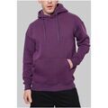 Pulls/Sweat sur Grenoble : Pull Kebello Sweat &agrave; capuche H, Violet Violet