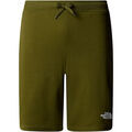 Shorts/Bermuda sur Grenoble : Short The North Face Graphic Light