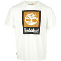 T-shirt Timberland Colored Short Sleeve Tee
