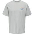 Tee-shirts sur Grenoble : T-shirt Only & Sons Keane Tee