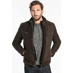 Veste Daytona FALCON IC COW MADISON BROWN