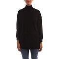 Pull sur Grenoble : Pull Emme Marella VETRO