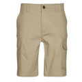 Shorts/Bermuda sur Grenoble : Short Dickies MILLERVILLE SHORT