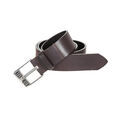 Ceintures sur Grenoble : Ceinture Diesel BLUESTAR II