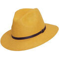 Chapeaux sur Grenoble : Chapeau Chapeau-Tendance Chapeau borsalino laine COSTA T59