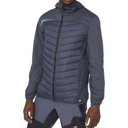 Blouson Dickies DK0A4XTEGYX