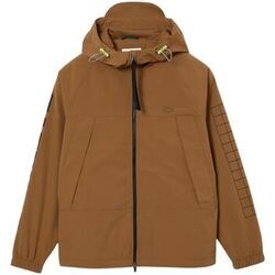 Blouson Lacoste Blouson homme Ref 58268 Z0W Leafy