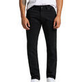 Jeans/Pantalons sur Grenoble : Jeans Lee L71WTF01