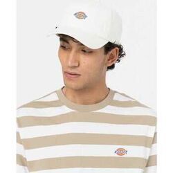 Casquette Dickies Hardwick