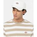 Casquette Dickies Hardwick