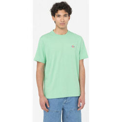 T-shirt Dickies Ss mapleton t-shirt