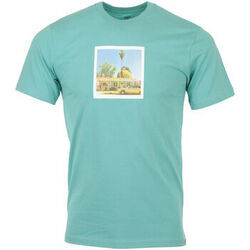 T-shirt DC Shoes Viajero