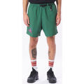 Shorts/Bermuda sur Grenoble : Short Obey Hang out web belt short