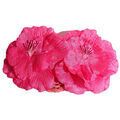 Ceintures sur Grenoble : Ceinture Molly Bracken Ceinture femme en tissu B2209 Rose