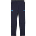 Jogging Puma 774071-29 Grenoble