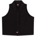 Chemises sur Grenoble : Chemise Dickies SALTVILLE SS - DK0A4YSV-BLK BLACK