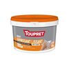 TOUPRET Enduits garnissant lissant 2 en 1 en p&acirc;te 24 heure(s) enduits garnissant lissant 2 en 1 en p&acirc;te 1 sac(s) de 15 kilogramme(s) p&acirc;te multisupport garniss