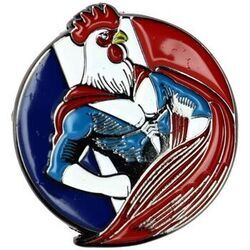 Broches Clj Charles Le Jeune Pin's Super Coq! Multicolore