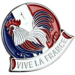 Broches Clj Charles Le Jeune Pin's Coq Vive la France Multicolore
